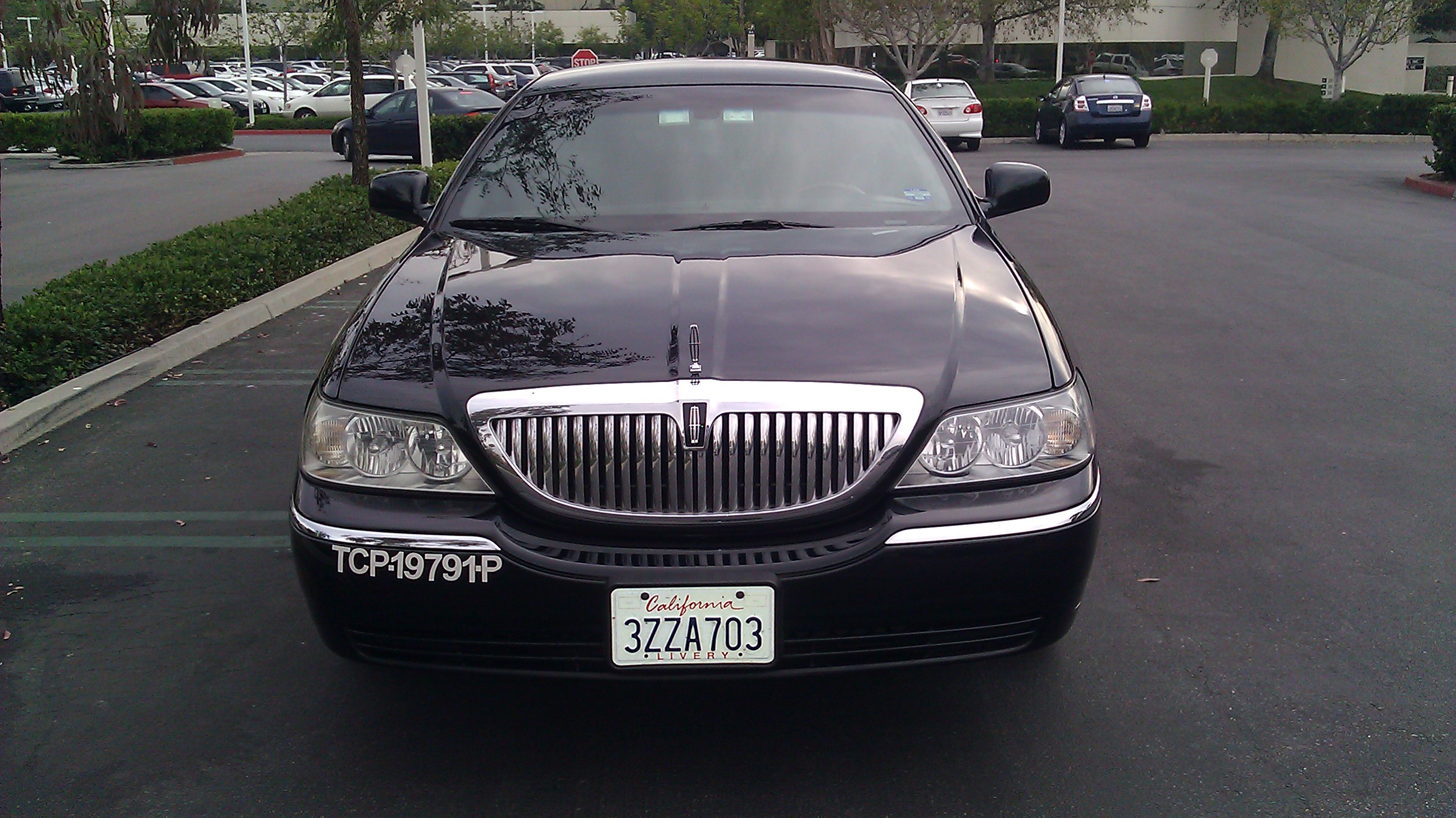 town
                    car picture